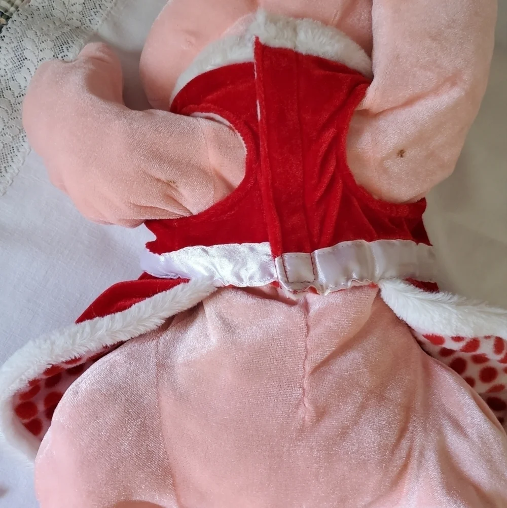 Maggie Waggie Christmas pet